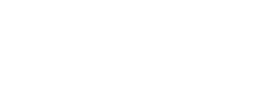 NCDHHS Division of Public Health Data Portal